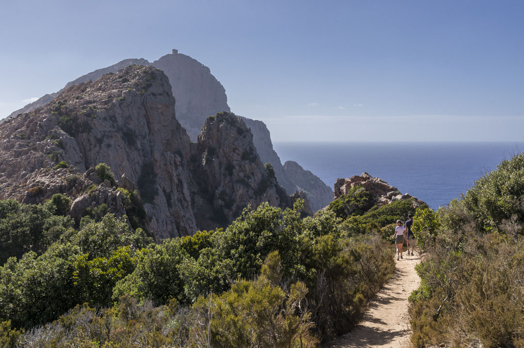 Promenades en mer en Corse du Sud : notre guide !
